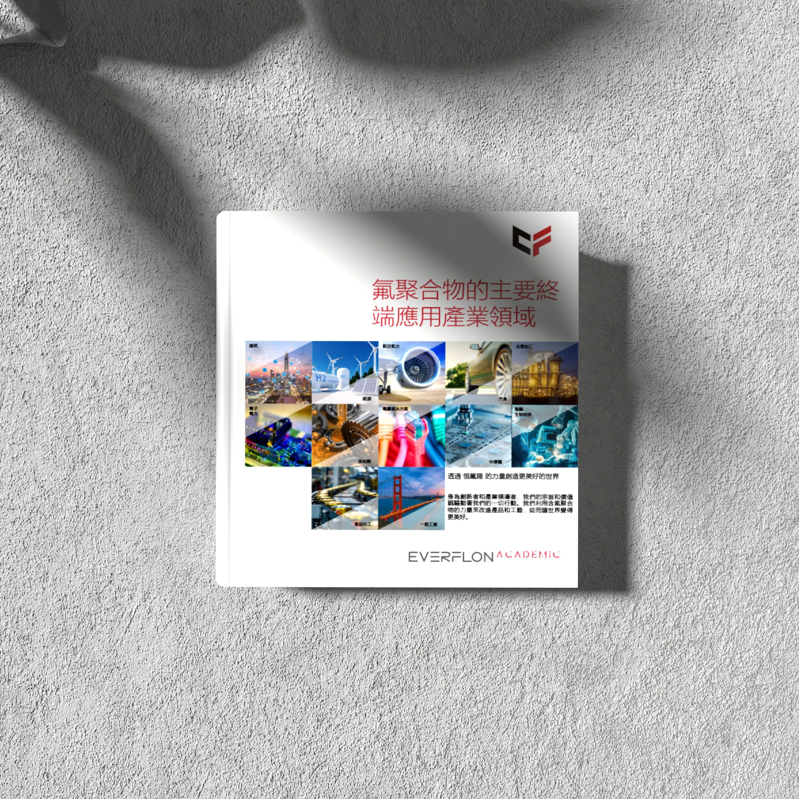 Everflon™ 氟聚合物的應用