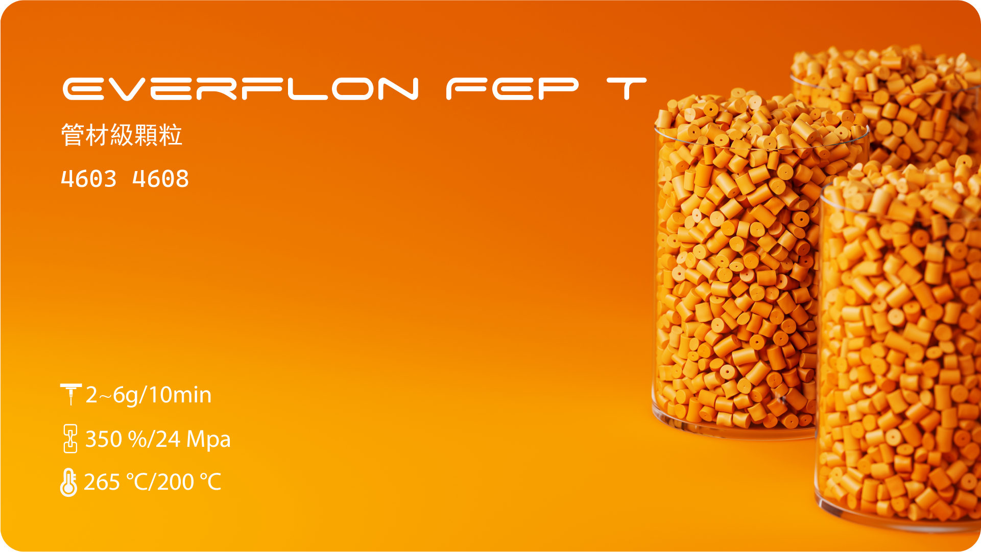 栏目FEP-09.png
